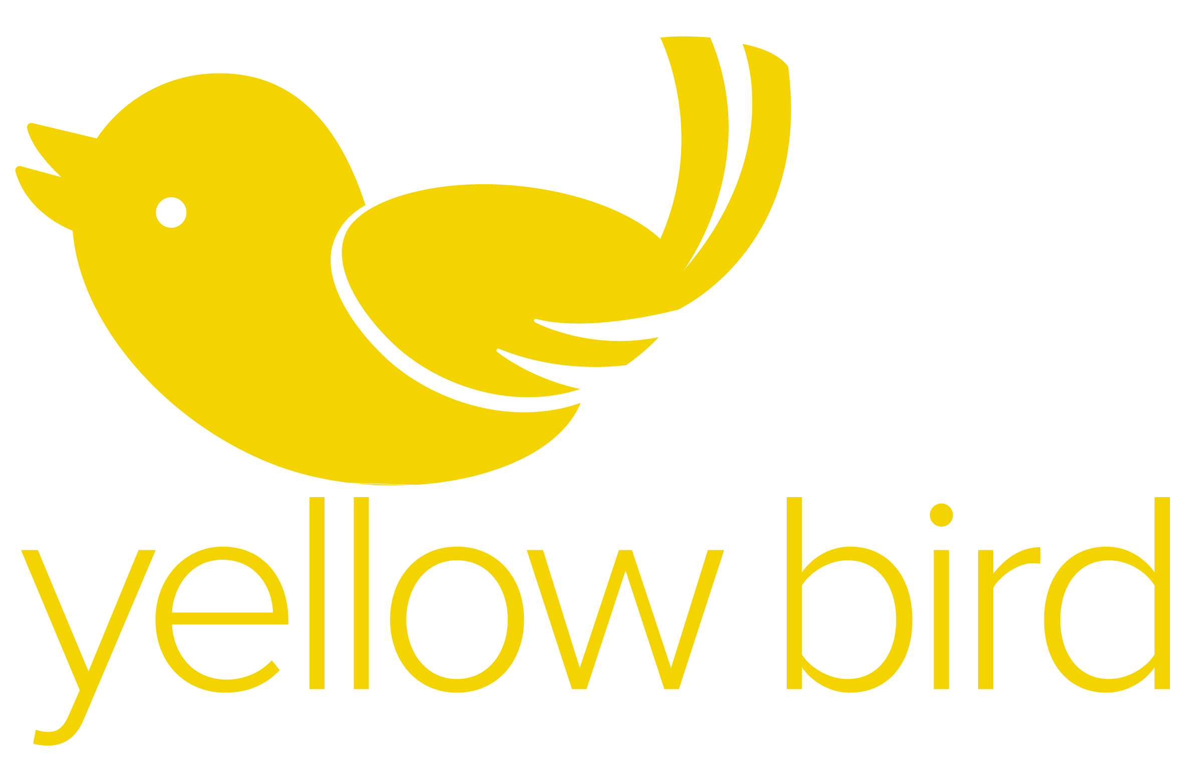 Yellow Bird Marketing & Communications, Derbyshire